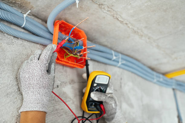 Best Electrical Repair Services  in Sand Lake, MI